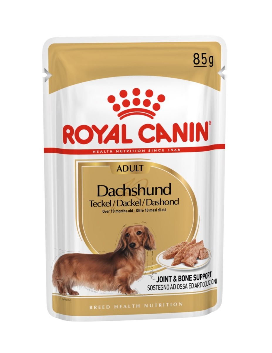 Royal Canin Dachshund Adult kapsička 85 g Royal Canin