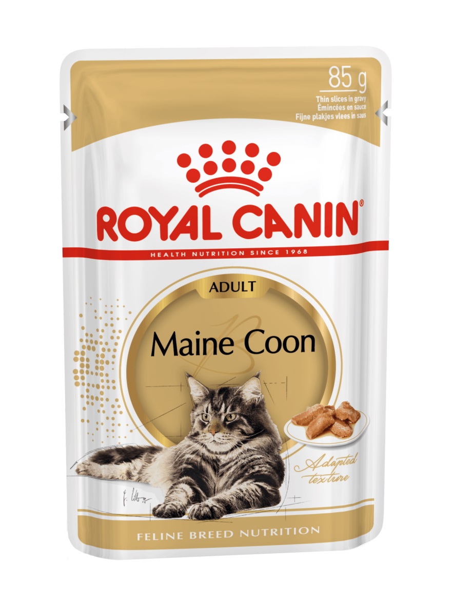 Royal Canin Maine Coon Adult kapsička 85 g Royal Canin