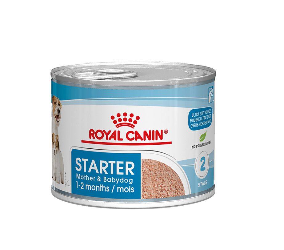 Royal Canin Mini starter mousse konzerva 195 g Royal Canin
