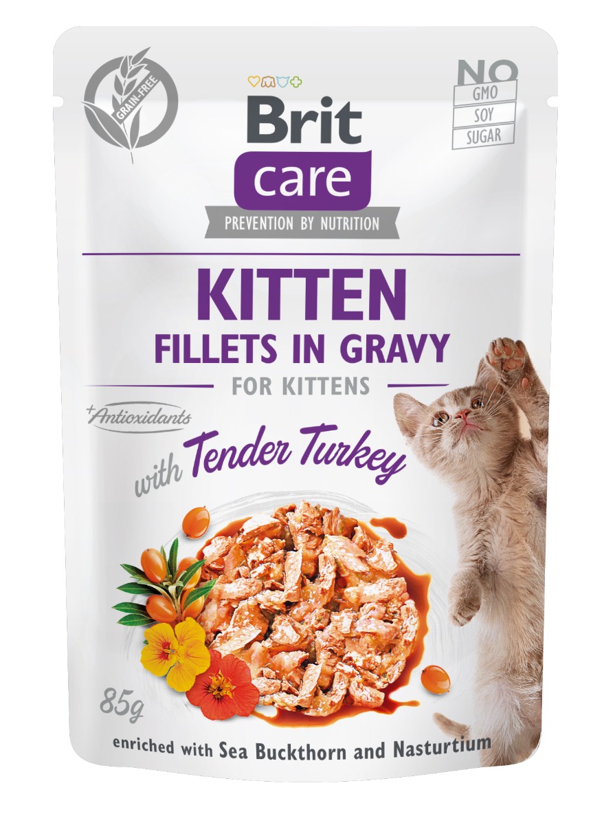 Brit Care Cat Kitten Fillets in gravy Tender Turkey 85 g Brit Care