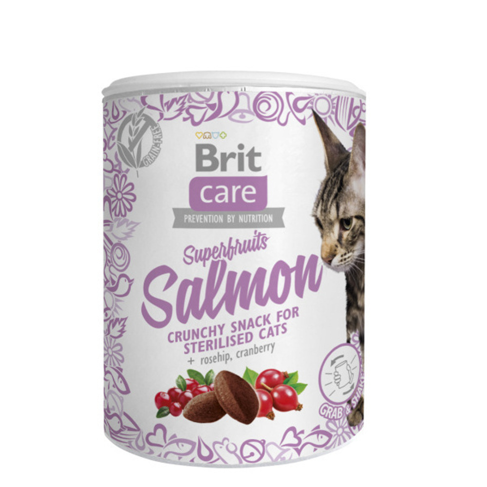 Brit Care Cat Snack Superfruits Salmon 100 g Brit Care