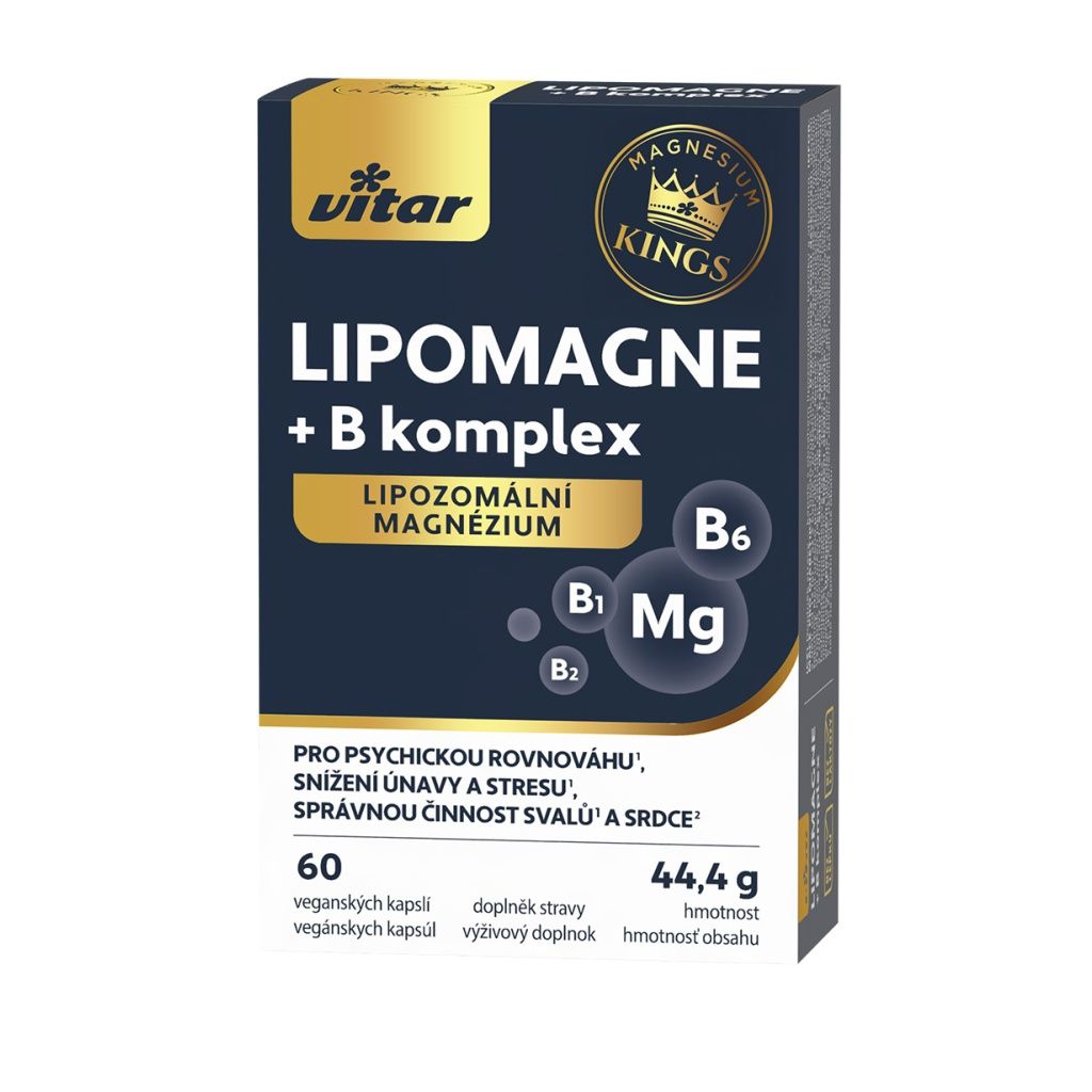 Vitar LIPOMAGNE + B komplex KINGS 60 kapslí Vitar