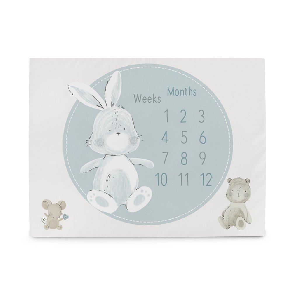 Ceba Podložka milníková na focení (92x72) Basic Friends Ceba