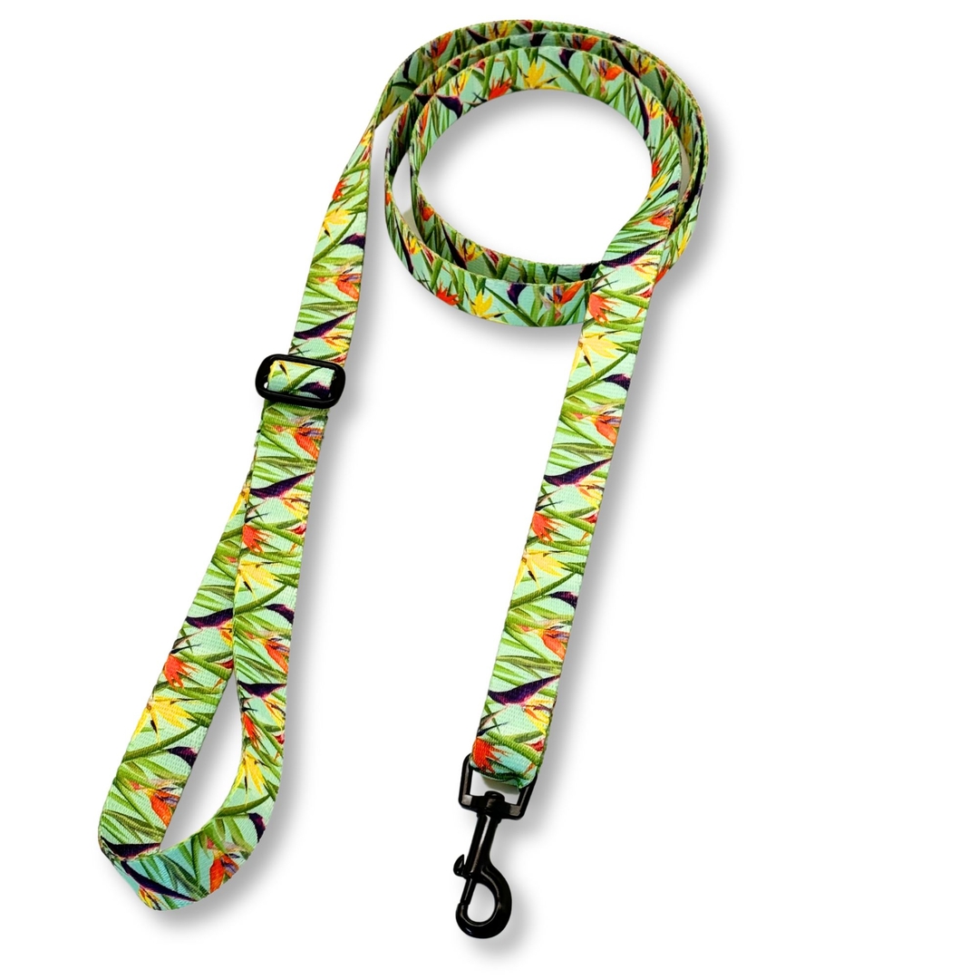 PafDog® Designové vodítko