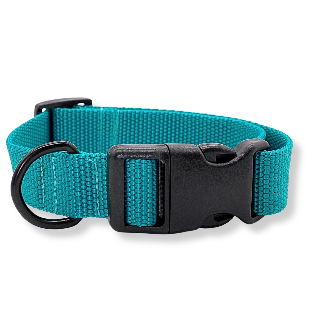 PafDog® Obojek pro psy TYRKYSOVÝ PAF-122 PafDog