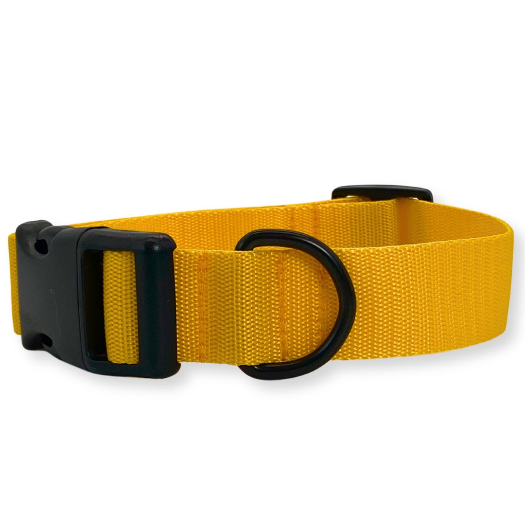 PafDog® Obojek pro psy ŽLUTÝ PAF-127 PafDog