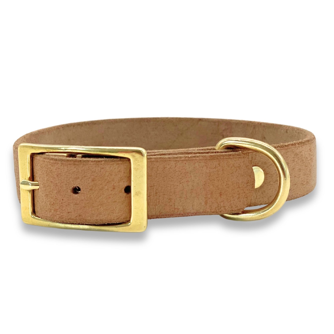 PafDog® Prémiový kožený obojek pro psy 2