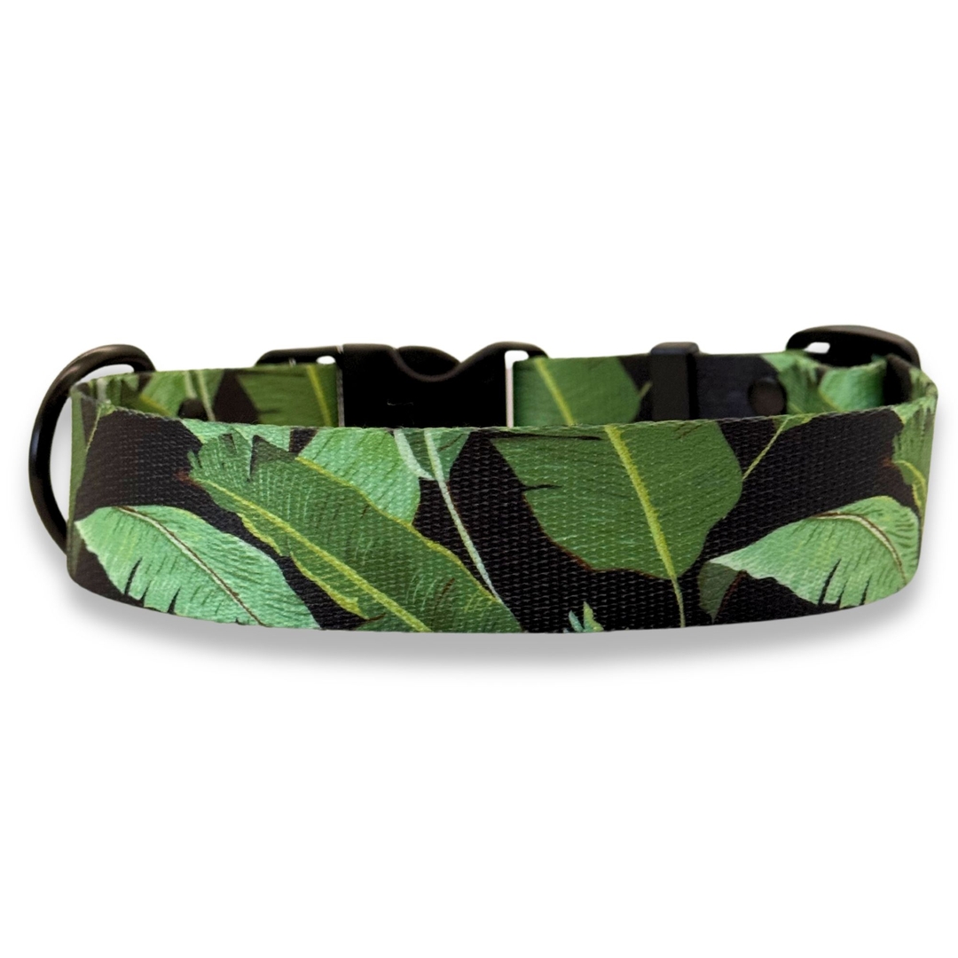 PafDog® Široký designový obojek pro psy Banana Leaf 3