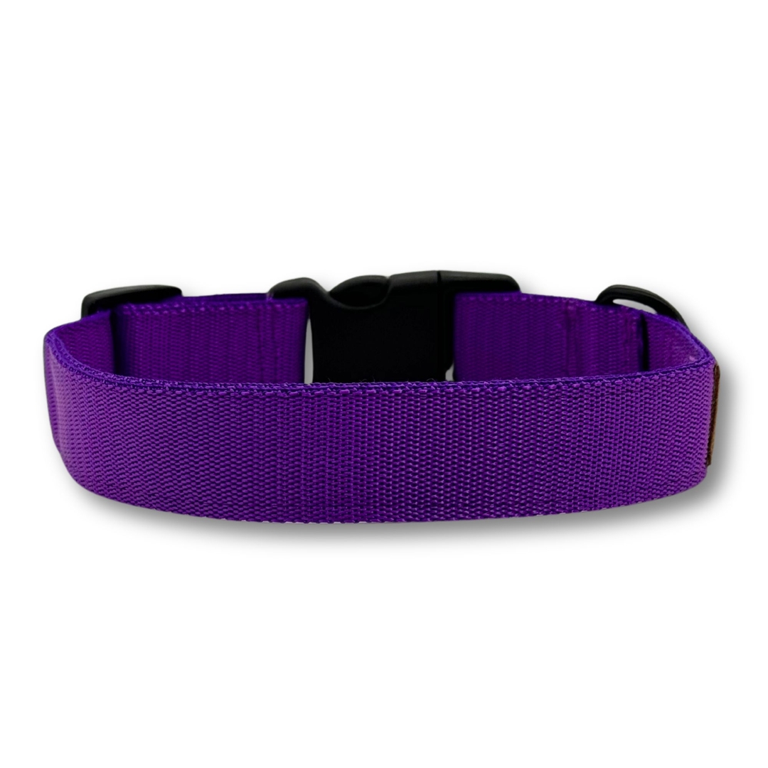 pafdog® Obojek pro psy FIALOVÝ 11781/M PafDog