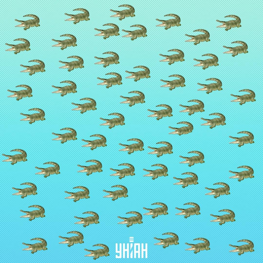 Rāpulis paslēpās, bet tas jāredz pēc 15 sekundēm / Kolāža Moje