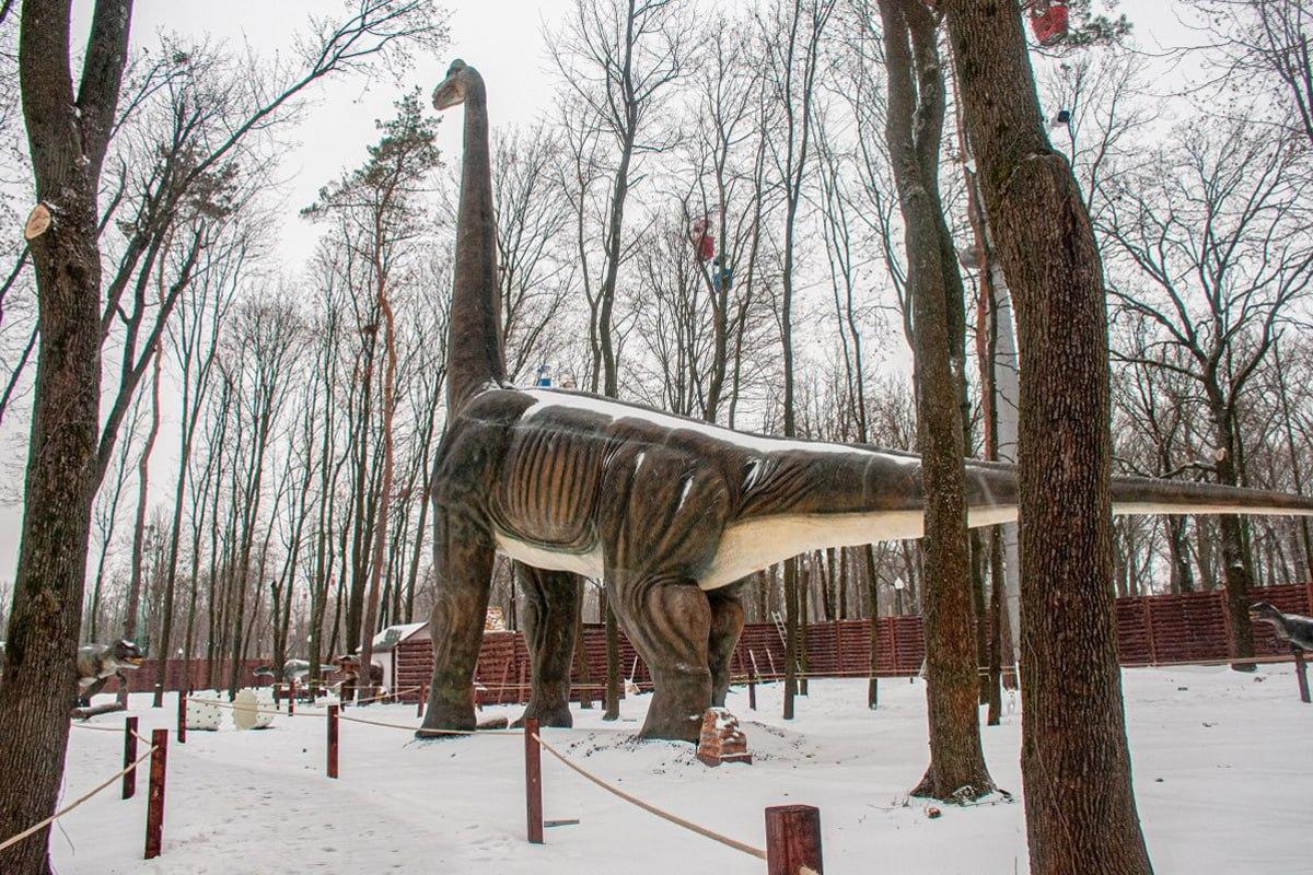Atrodi suni starp sniegu 10 sekundēs / Moje kolāža