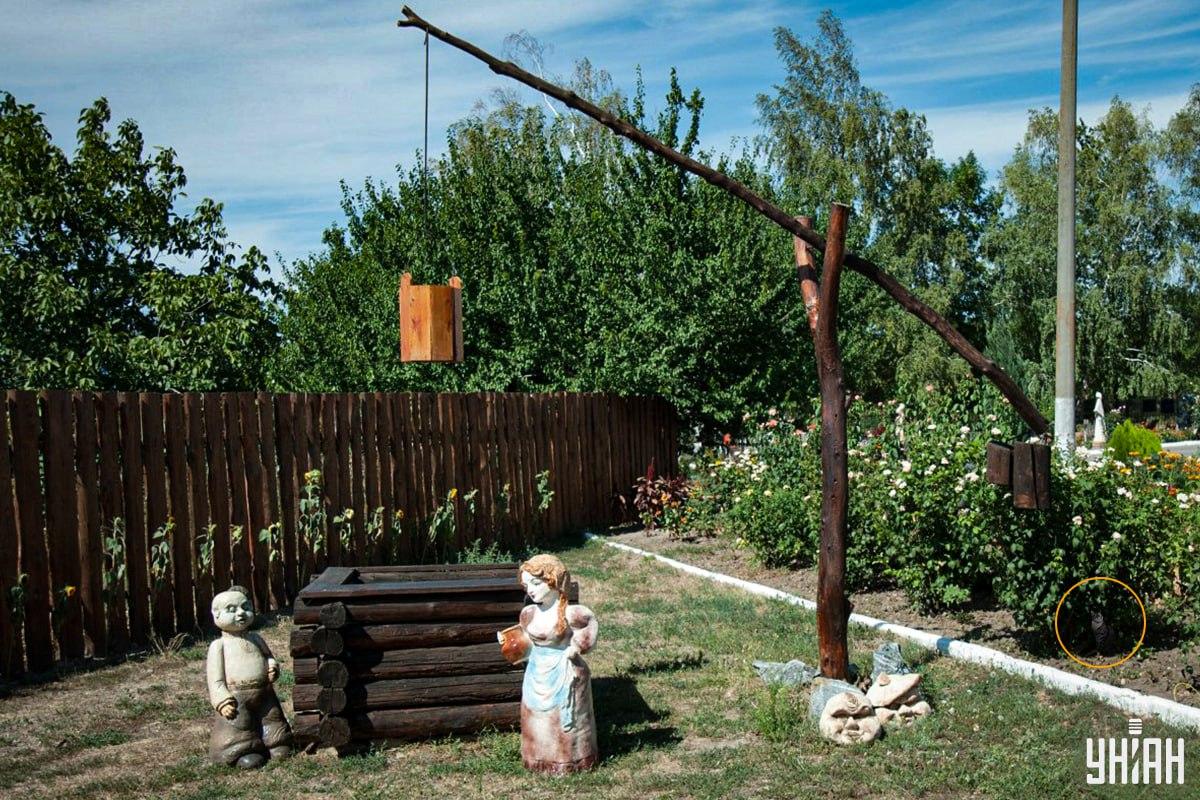 Kaķis atradās puķu dobē / Moje kolāža