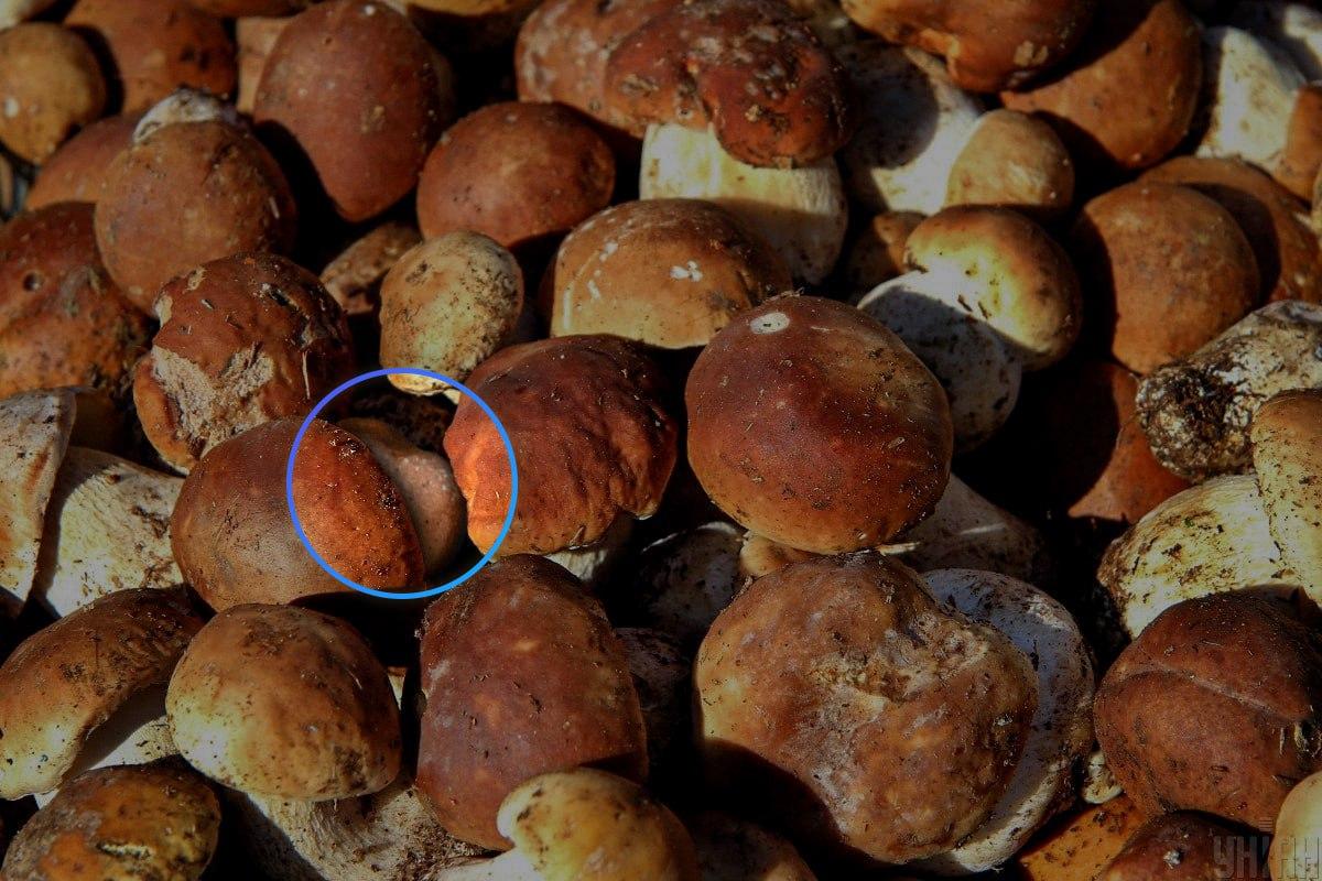 Akmens atradās gandrīz optiskās ilūzijas / Moje kolāžas centrā