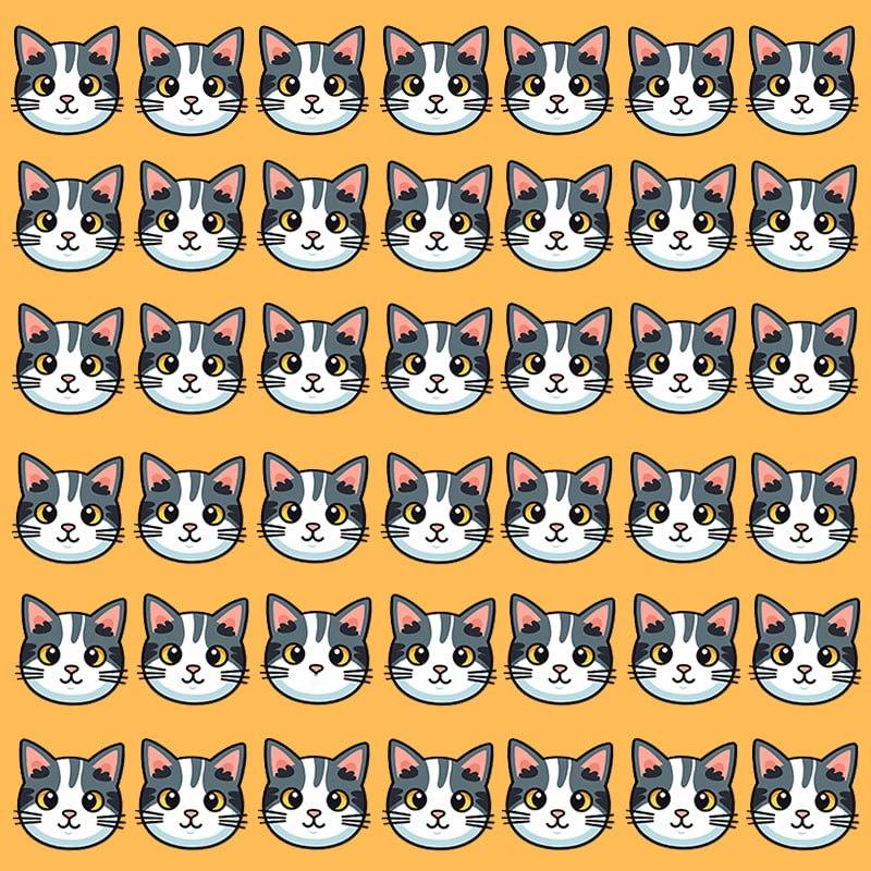 Šī optiskā ilūzija ir iespējama tikai cilvēkiem ar lielisku IQ / attēlu Moje