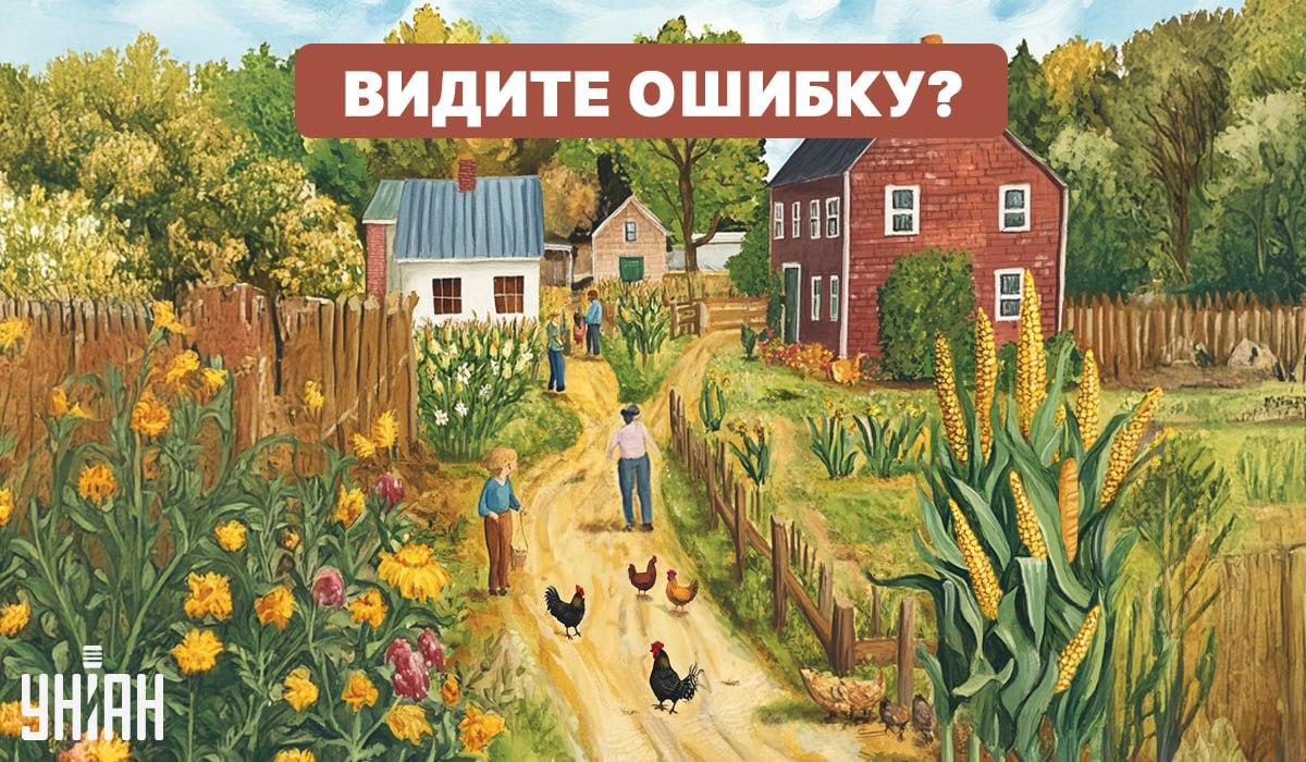 Sarežģīts IQ tests: jums ātri jāatrod kļūda