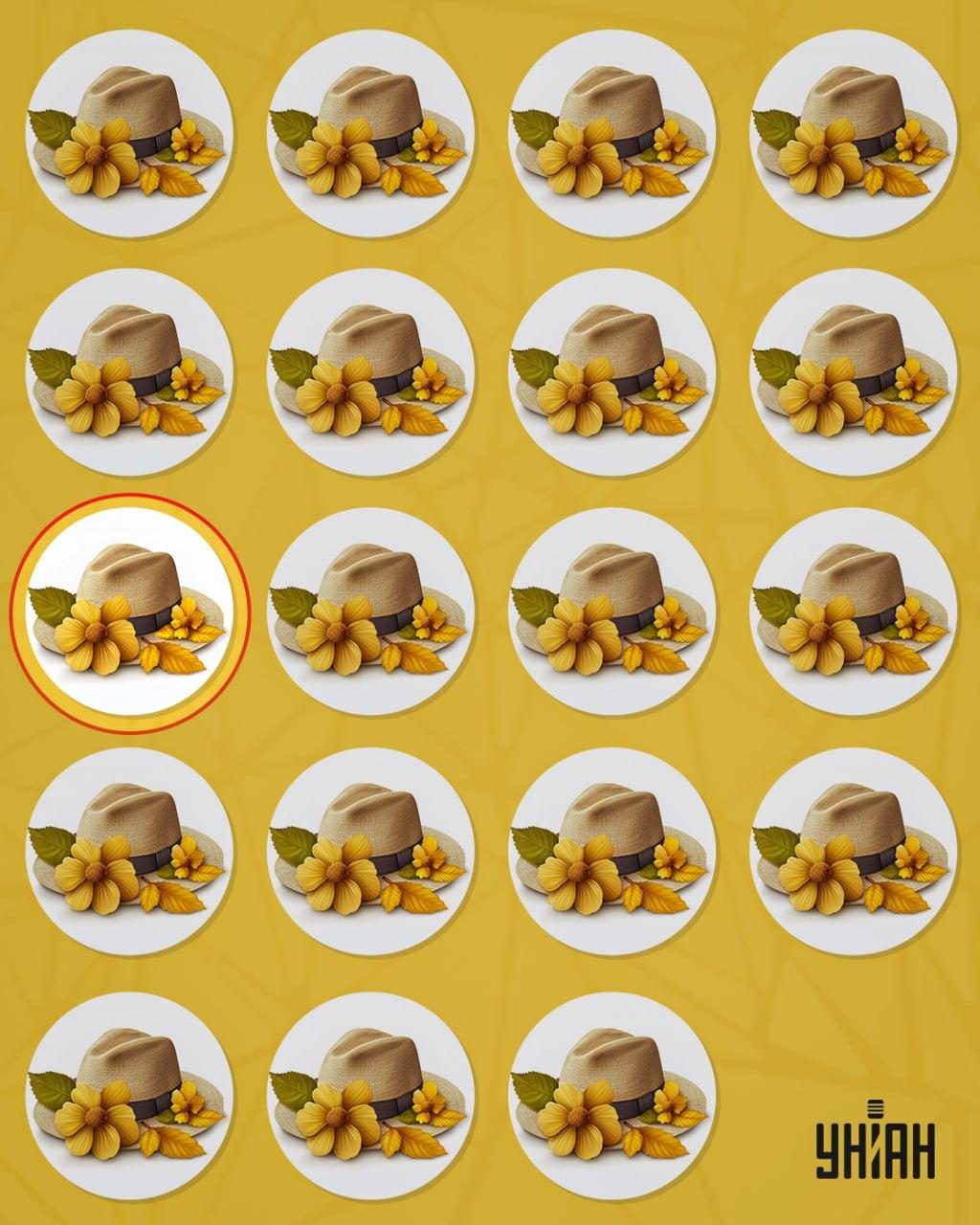 Dīvaina cepure no pārējām atšķīrās ar nelielu detaļu / kolāžu Moje