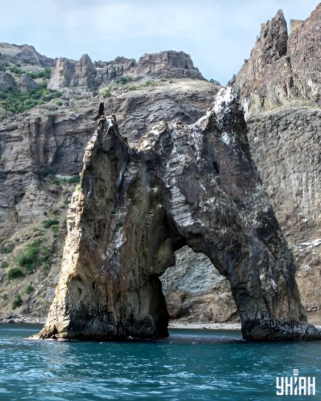 Mīklas attēlā mazāk nekā 10 sekundēs jāatrod ērglis / kolāža ar fotogrāfijām Moje