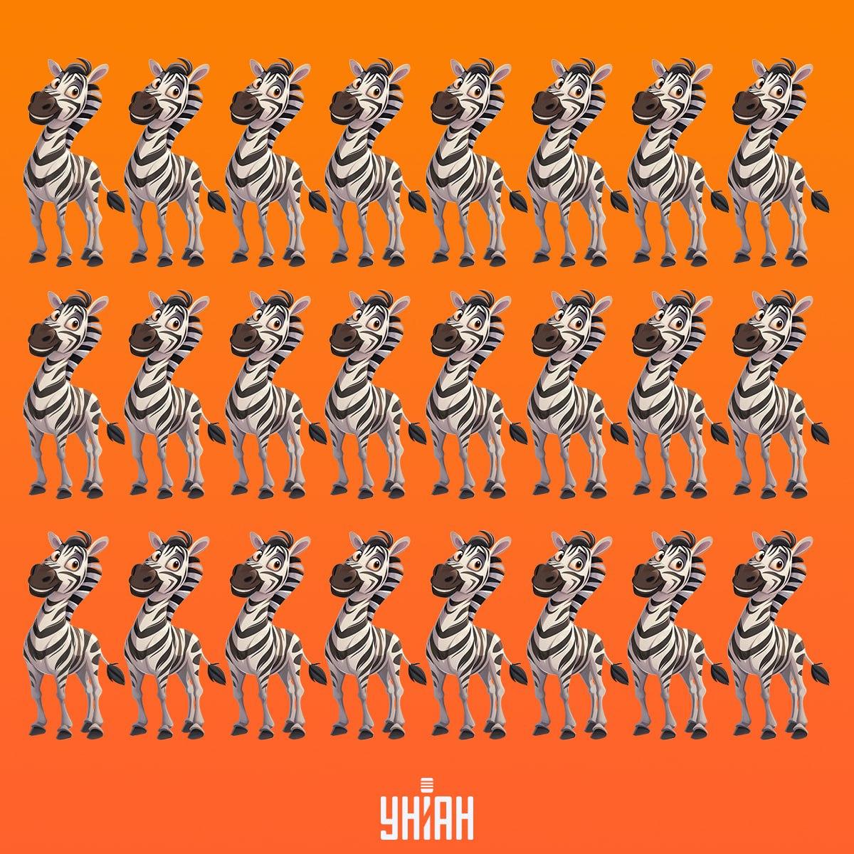 Mums savlaicīgi jāatrod zebra, kas nav tāda kā citas / Moje kolāža