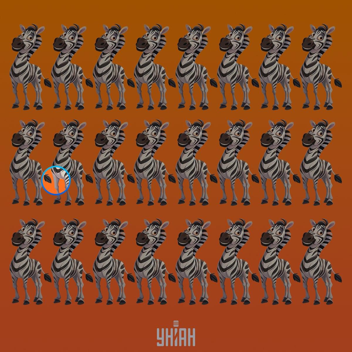 Dīvaina zebra bija otrajā rindā no augšas / Moje kolāža