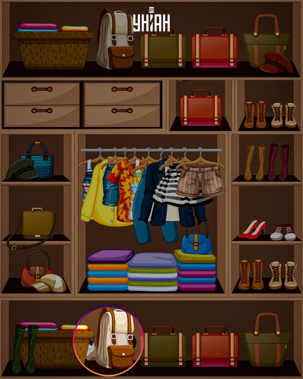 Attēla / kolāžas Moje apakšā tika novietots viltīgs dzīvnieks