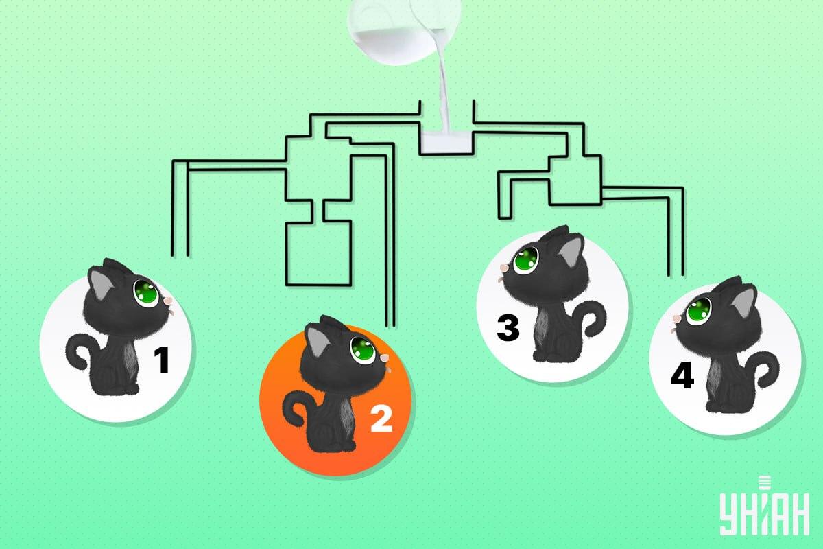 Laimīgais kaķis bija ar numuru 2 / kolāža Moje