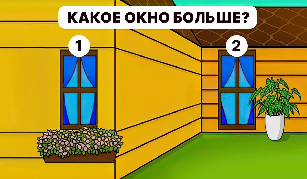 Mums ir jāsaprot, kurš logs ir lielāks / Moje kolāža