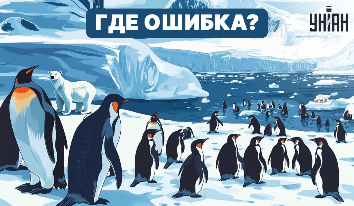 Vai vari saprast, kas bildē ir nepareizi? / Moje