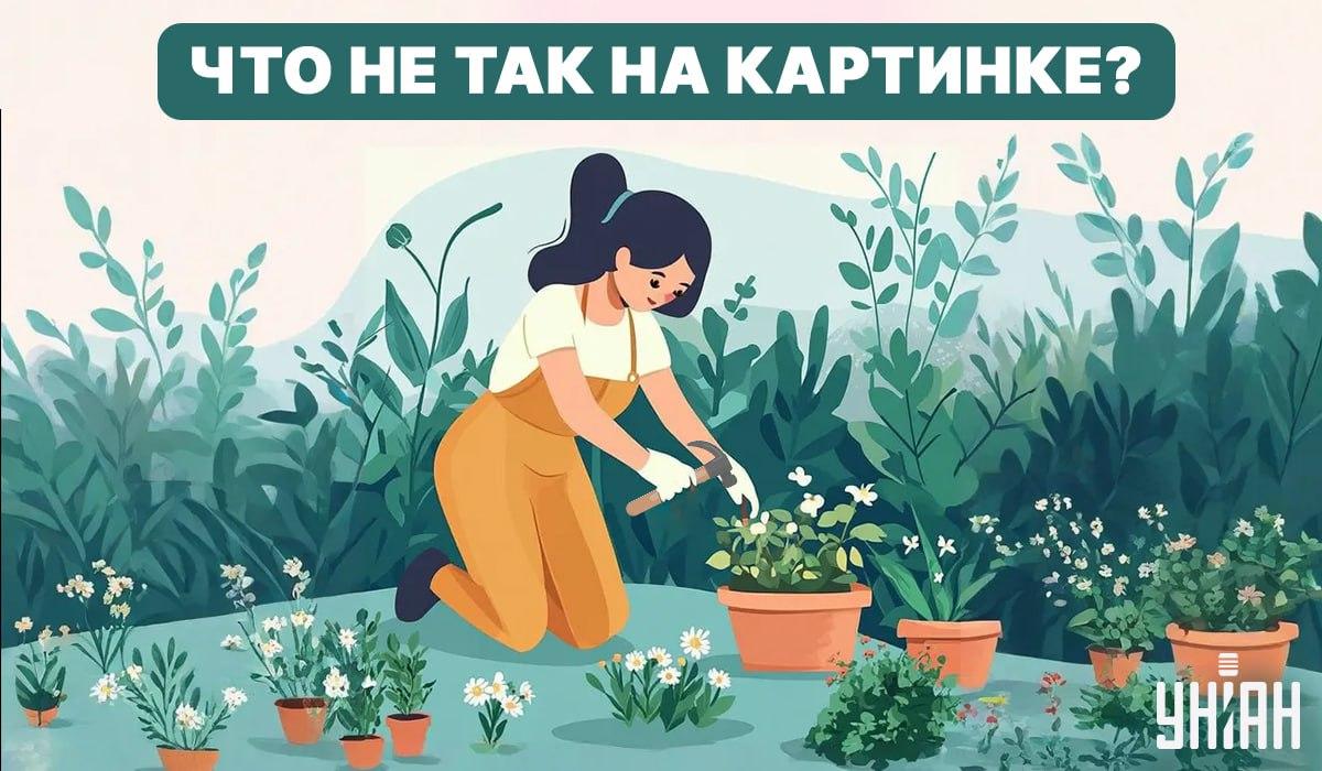 Mēģiniet atrast kļūdu / kolāža - Moje