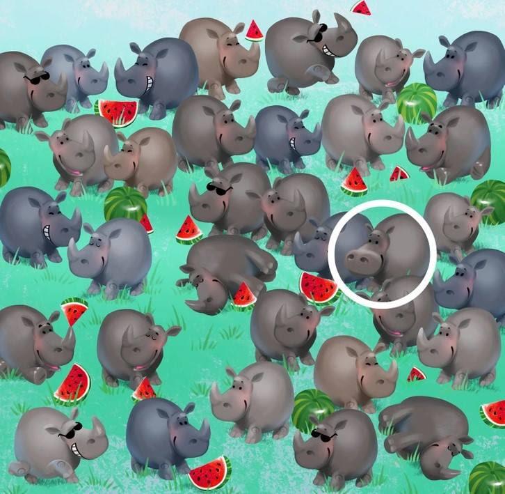 Atbilde/Gaišā puse