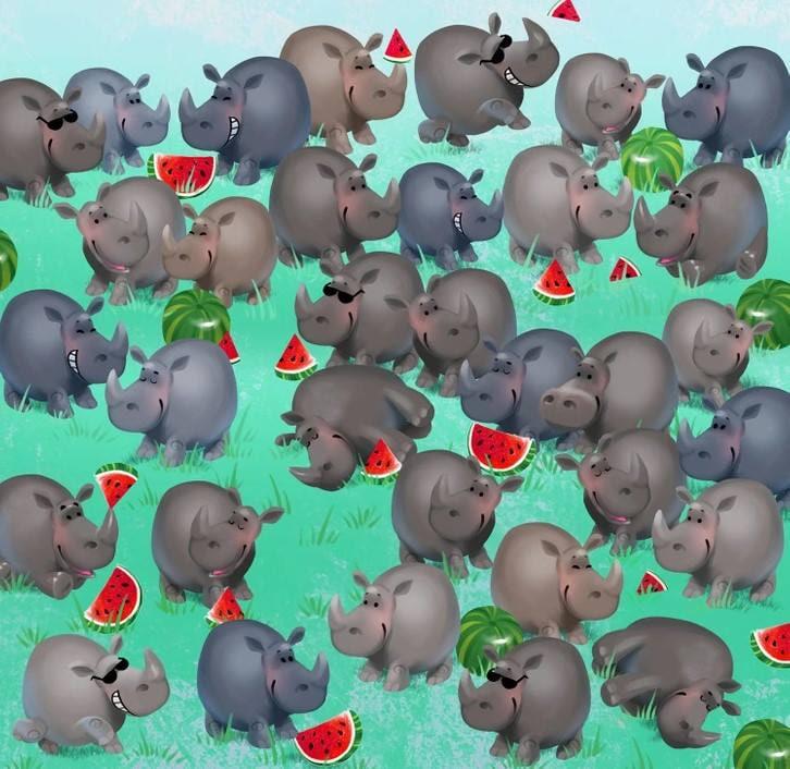 Ilūzija / gaišā puse