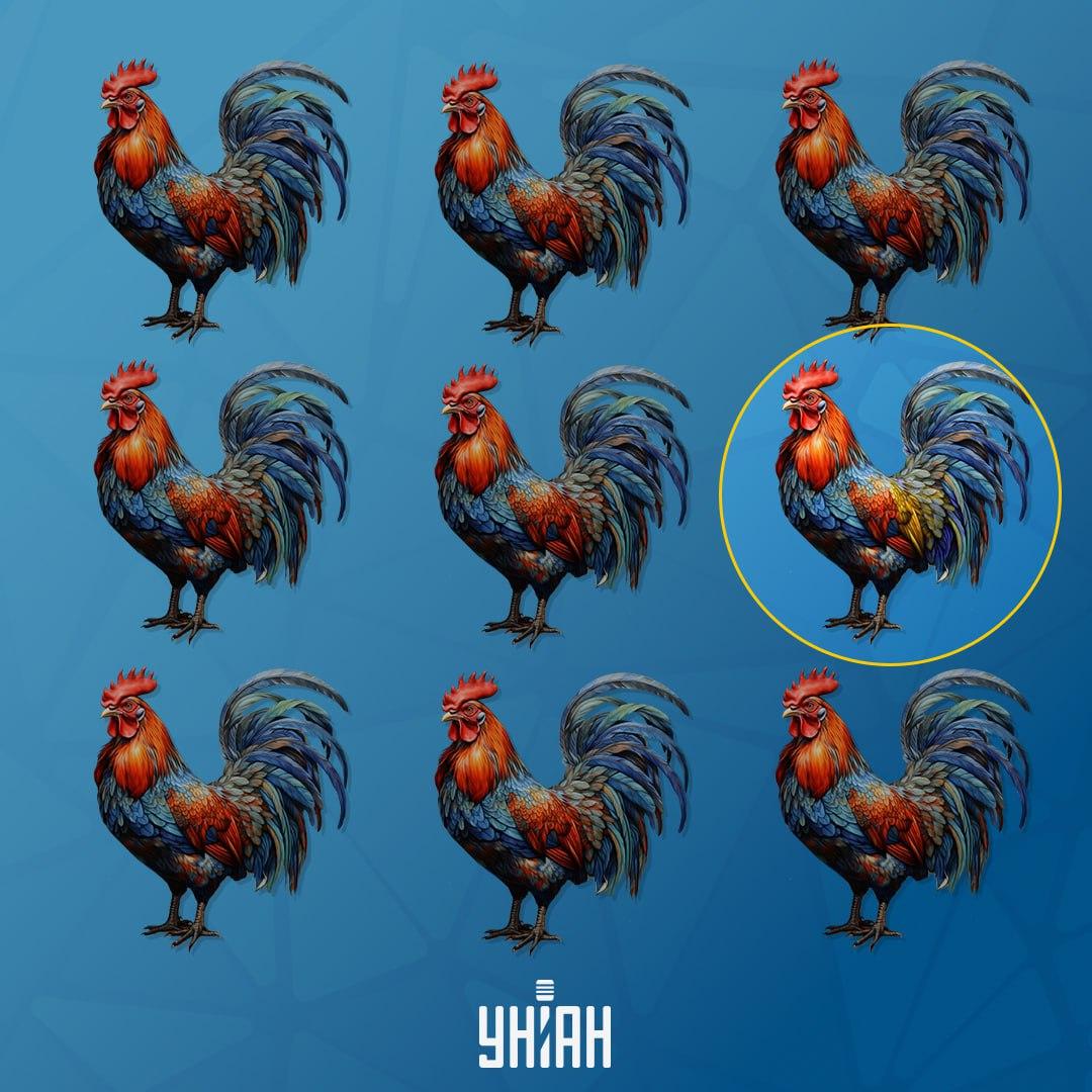 Gailis, kas atšķiras no citiem, atradās kreisajā pusē / Moje kolāža