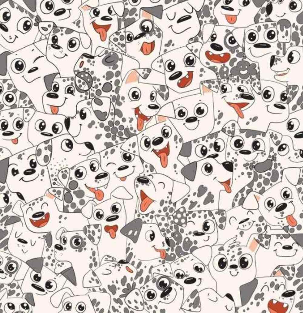 Mēģiniet pēc iespējas ātrāk atrast tauriņa / Brightside zīmējumu