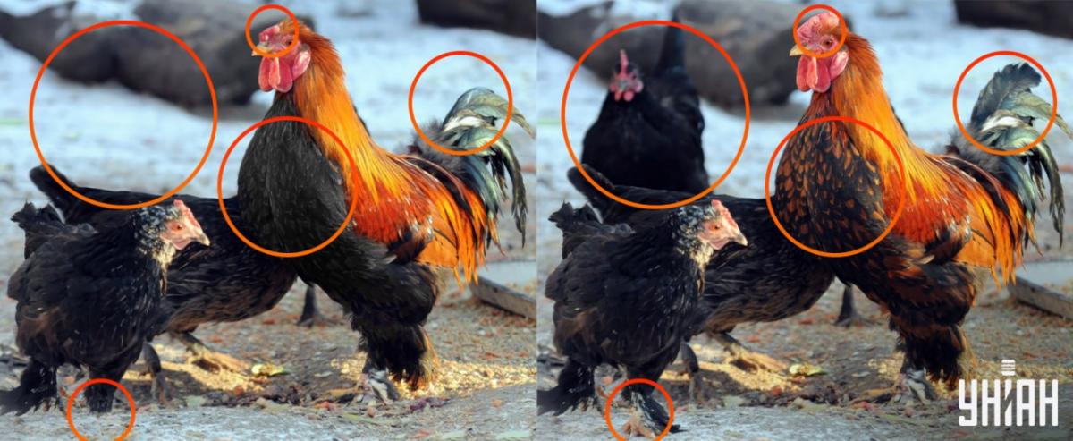 Bija jāpievērš uzmanība mazām detaļām / Moje kolāža