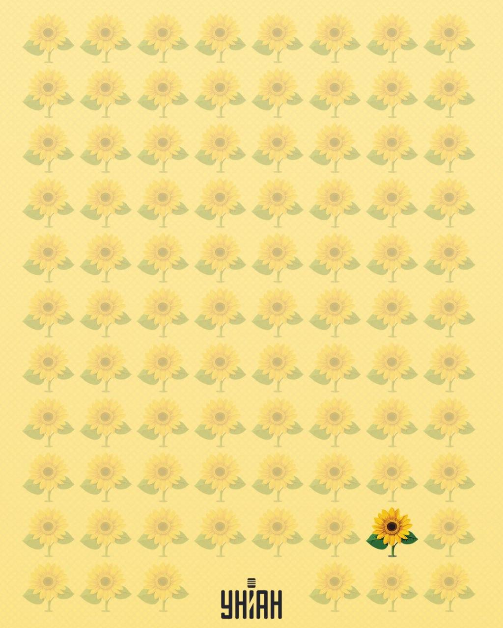 Saulespuķe, kurai trūkst ziedlapiņas, tika saukta par dīvainu / Moje kolāža