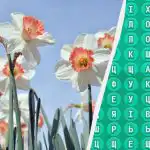 98% cilvēku nevar atrast vārdu "pavasaris" 10 sekundēs: pārsteidzoši sarežģīta