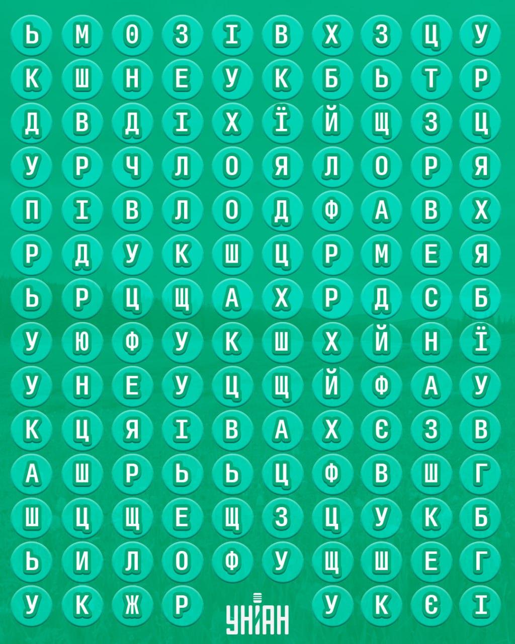 98% cilvēku nevar atrast vārdu 