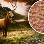 Ar to var tikt galā tikai cilvēki ar augstu IQ: