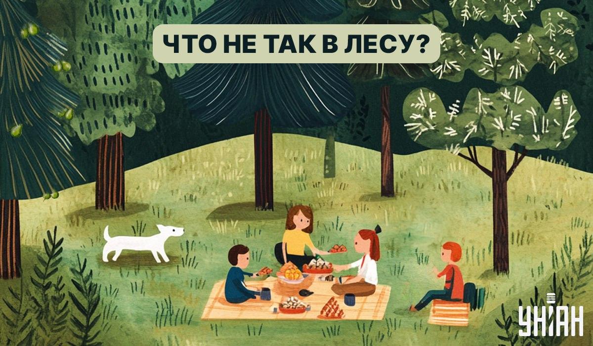 Atrodiet kļūdu mežā 5 sekundēs: ātrs IQ tests