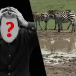 Ātrs IQ tests: atrodiet suni laukā 6 sekundēs