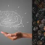 Izciļņus redz visi, bet ezis jāatrod 7 sekundēs: IQ tests