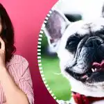 Super sarežģīta optiskā ilūzija: tikai īsts detektīvs atradīs suni 10