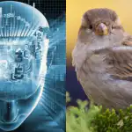 Tikai cilvēki ar fantastisku IQ zvirbuli atradīs 11 sekundēs: sarežģīta