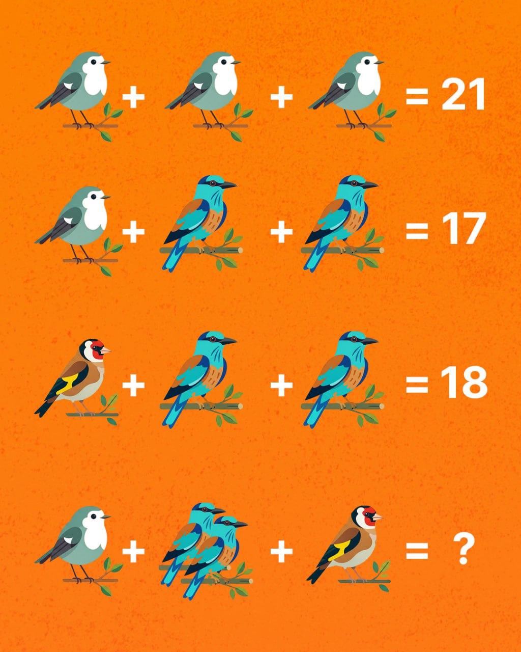 Tikai ģēnijs var saskaitīt visus putnus: pārsteidzoši sarežģīta mīkla