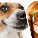 Tikai īsts IQ titāns suni sniegā ieraudzīs 10 sekundēs: elpu