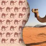 Tikai mūsdienu "Šerloks Holmess" atradīs dīvainu kamieli: mīklu visgudrākajiem