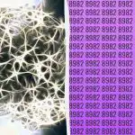 Vienkāršs IQ tests: atrodiet nepāra skaitli 9 sekundēs